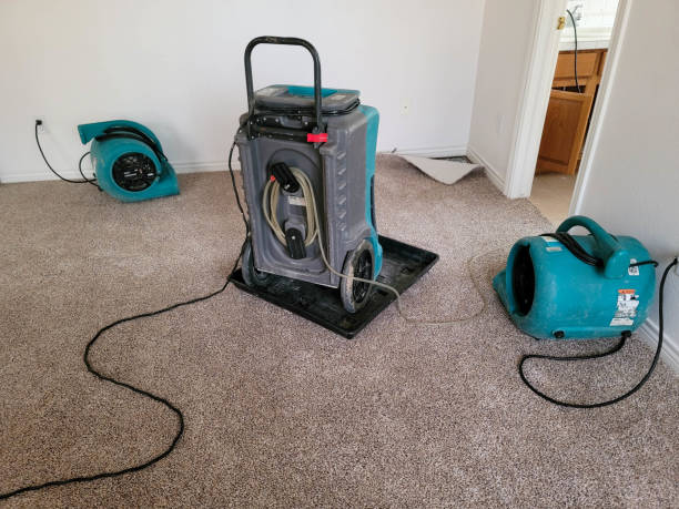 Best 24-hour water damage restoration  in Prices Fork, VA