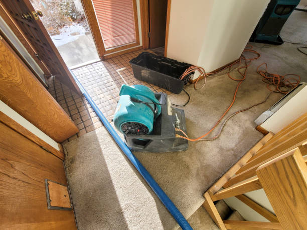 Best Flood restoration services  in Prices Fork, VA