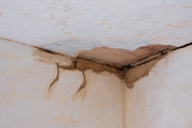 Best 24-hour water damage restoration  in Prices Fork, VA