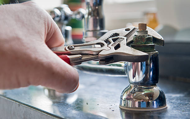 Best Flooded house restoration  in Prices Fork, VA