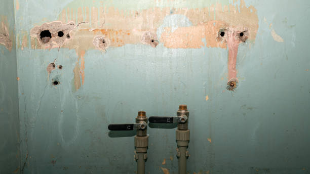 Local water damage restoration in VA