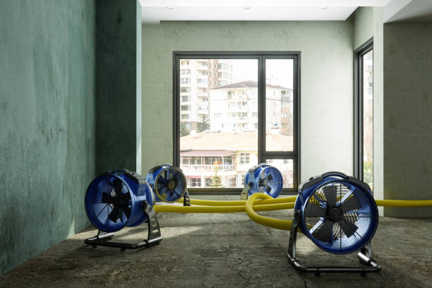 Best Water damage repair service  in Prices Fork, VA